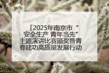 2025年南京市“安全生产 青年当先”主题演讲比赛颁奖暨青春建功高质量发展行动出征仪式举行