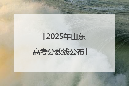 2025年山东高考分数线公布