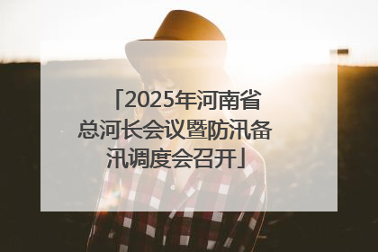 2025年河南省总河长会议暨防汛备汛调度会召开