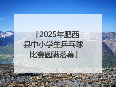 2025年肥西县中小学生乒乓球比赛圆满落幕