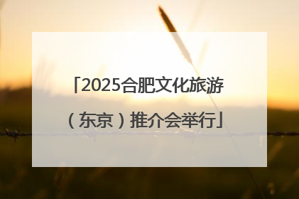 2025合肥文化旅游（东京）推介会举行