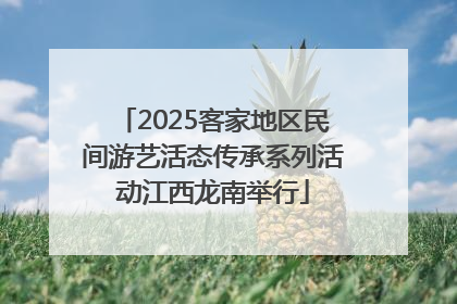 2025客家地区民间游艺活态传承系列活动江西龙南举行
