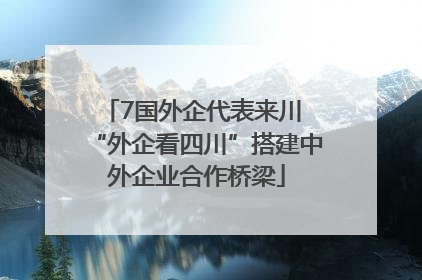 7国外企代表来川 “外企看四川”搭建中外企业合作桥梁