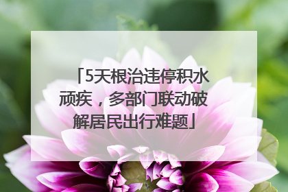5天根治违停积水顽疾，多部门联动破解居民出行难题
