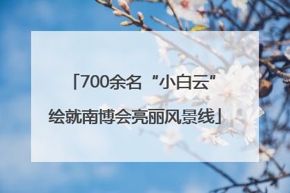 700余名“小白云”绘就南博会亮丽风景线