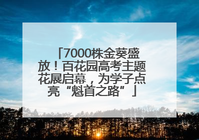 7000株金葵盛放！百花园高考主题花展启幕，为学子点亮“魁首之路”
