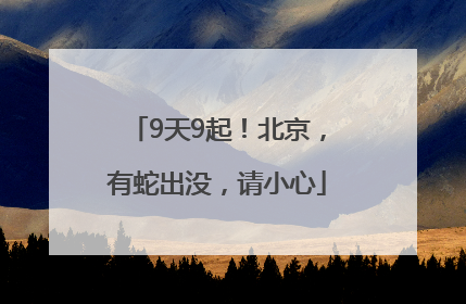 9天9起！北京，有蛇出没，请小心