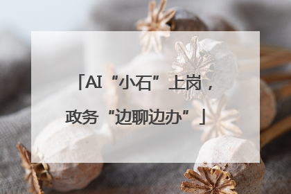 AI“小石”上岗，政务“边聊边办”