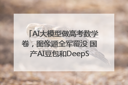 AI大模型做高考数学卷，图像题全军覆没 国产AI豆包和DeepSeek均得分144
