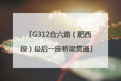 G312合六路（肥西段）最后一座桥梁贯通