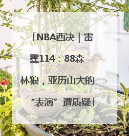 NBA西决｜雷霆114：88森林狼，亚历山大的“表演”遭质疑