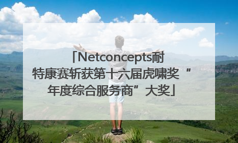 Netconcepts耐特康赛斩获第十六届虎啸奖“年度综合服务商”大奖