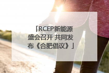RCEP新能源盛会召开 共同发布《合肥倡议》