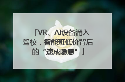 VR、AI设备涌入驾校，智能班低价背后的“速成隐患”