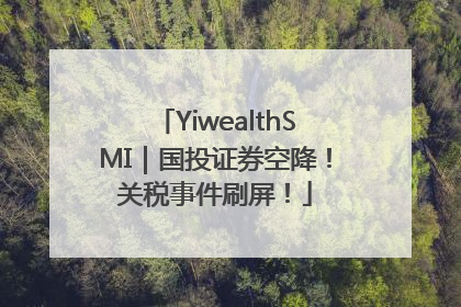YiwealthSMI｜国投证券空降！关税事件刷屏！
